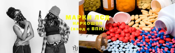 ешки Бородино