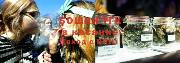 ешки Бородино