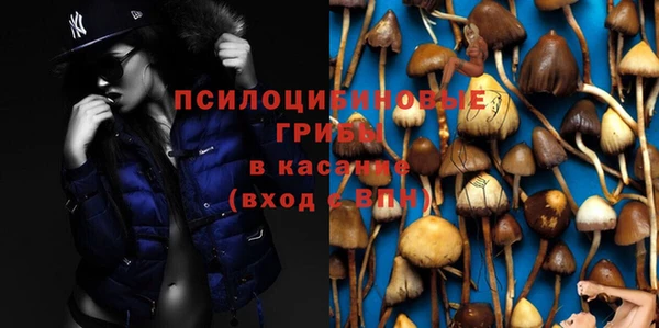 ешки Бугульма