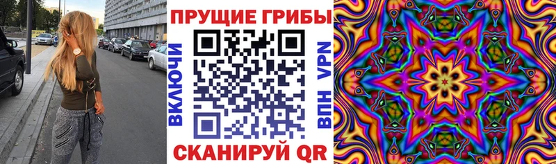Галлюциногенные грибы Psilocybe  Тамбов 